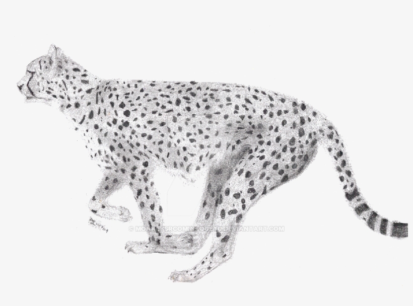 Running Cheetah Png Image With Transparent Background - Portable Network Graphics, transparent png #635642
