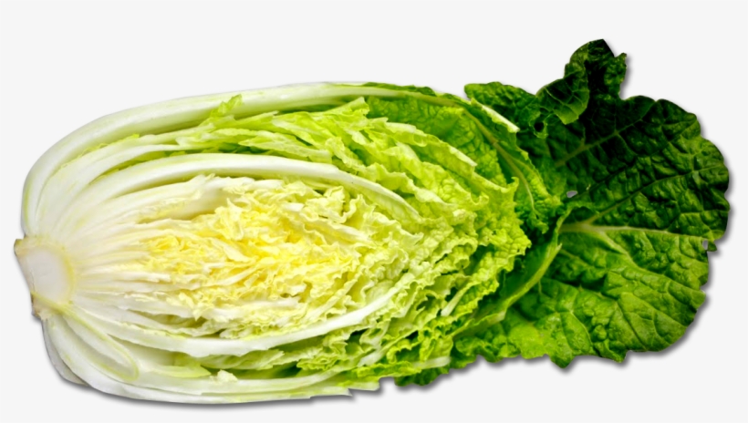 Fox Transparent Png Sticker - Cabbage, transparent png #635701