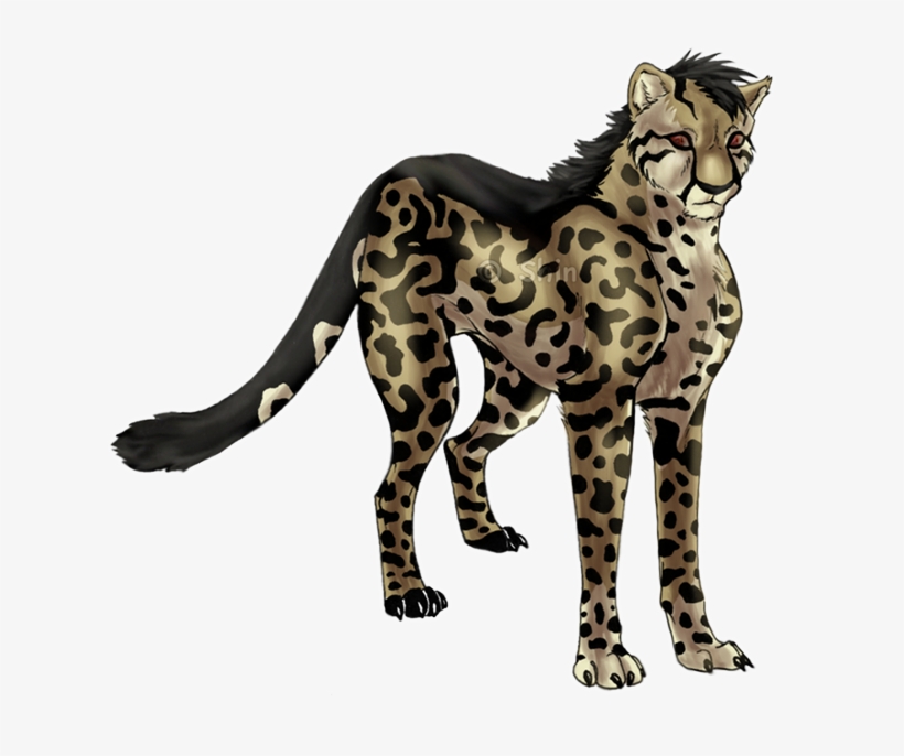 Cheetah Drawing King - King Cheetah Drawing, transparent png #635931