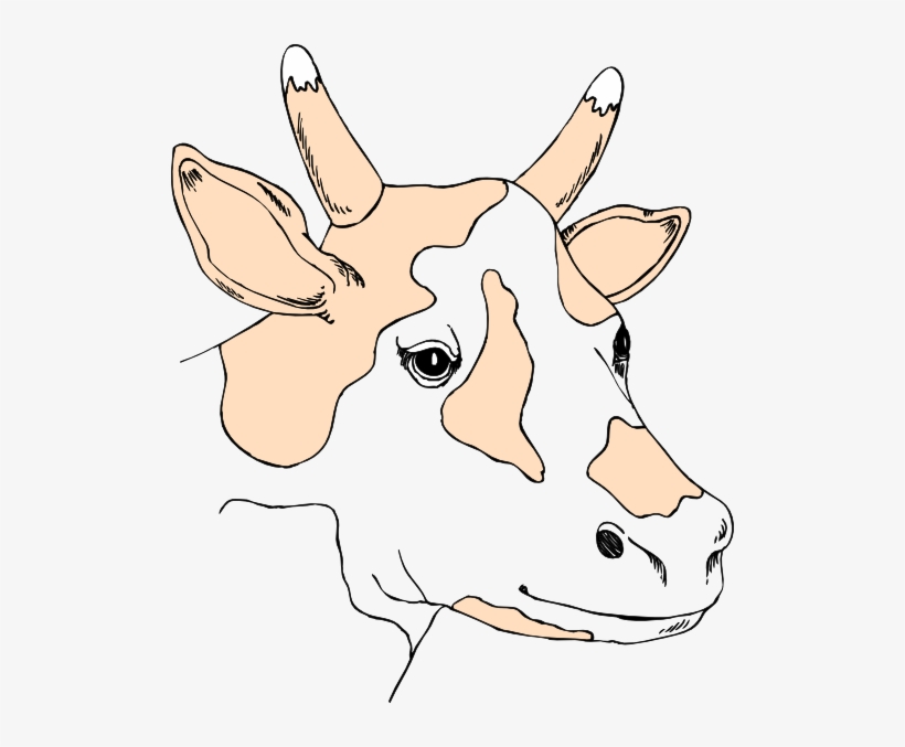 Light Colored Cow Head - Cow's Head Cartoon Png, transparent png #635951