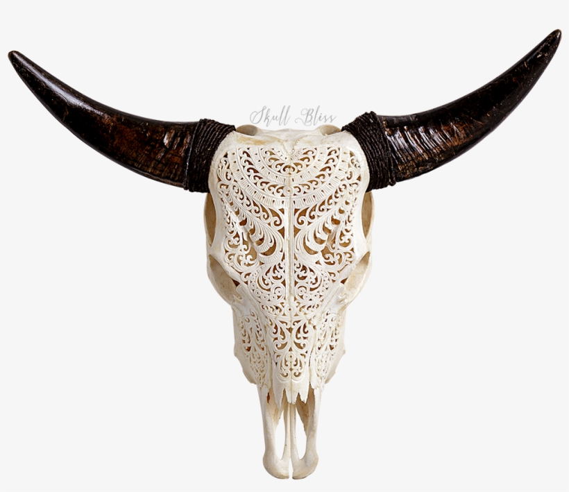 Https Skullbliss Com Collections - Cow Skull, transparent png #636137