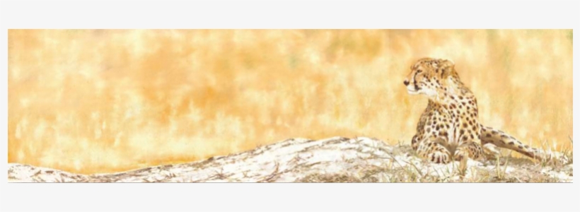 Open Season - African Leopard, transparent png #636138