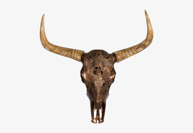 Resin Cow Head Scull - Skull, transparent png #636169
