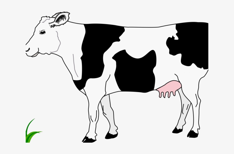 Cattle Clipart Cow Head - Cow And Calf Clip Art, transparent png #636220