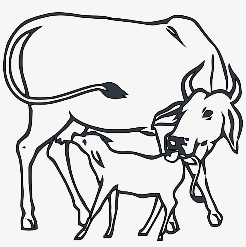 Collection Of Free Cows Drawing - Cow And Calf Drawing, transparent png #636291