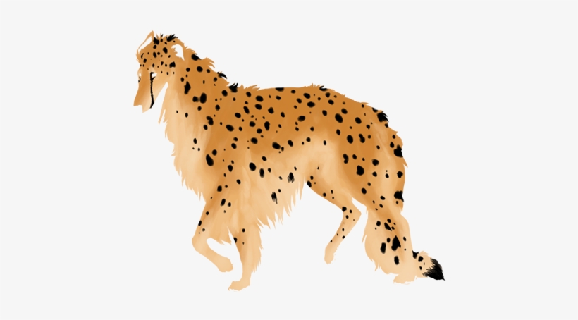 Cheetah - Companion Dog, transparent png #636313