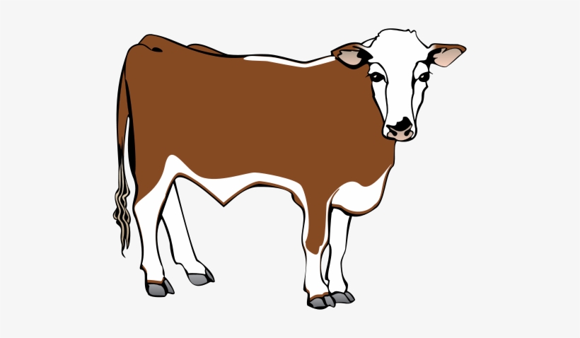 Steer Drawing At Getdrawings - Steer, transparent png #636382