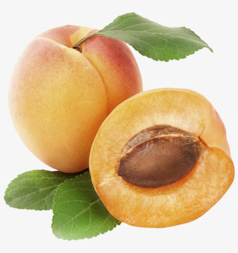 Rex Orange County Apricot, transparent png #636639