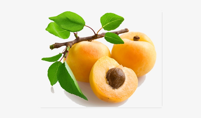Apricot Png Picture - Apricot Fruit, transparent png #636768