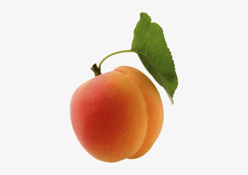 Fruits - Transparent Apricot Png, transparent png #636838