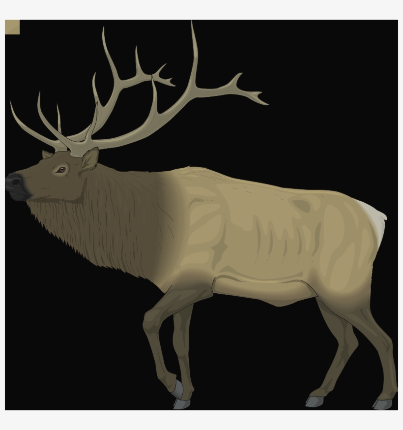 Car, transparent png #636864