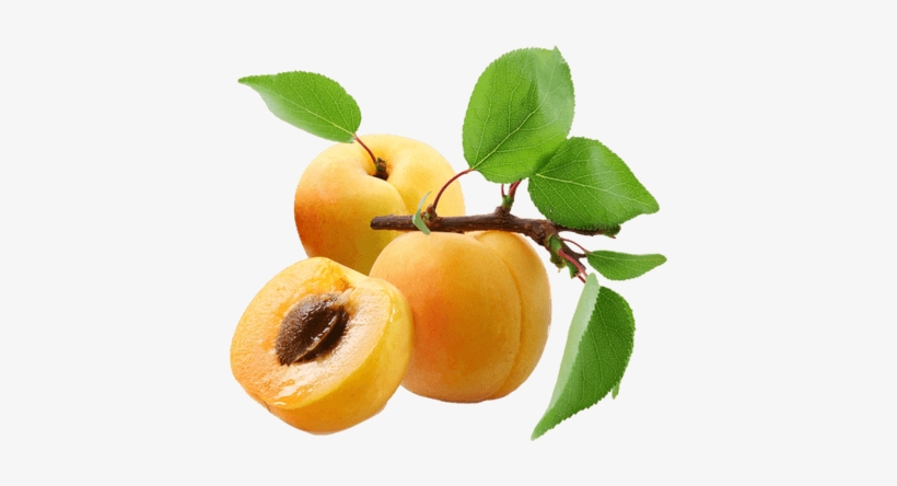 Apricot Trio - Hugo Boss - Boss The Scent For Her Eau De Parfum 100ml, transparent png #636957