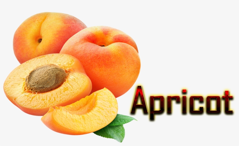 Apricot Png, transparent png #637014