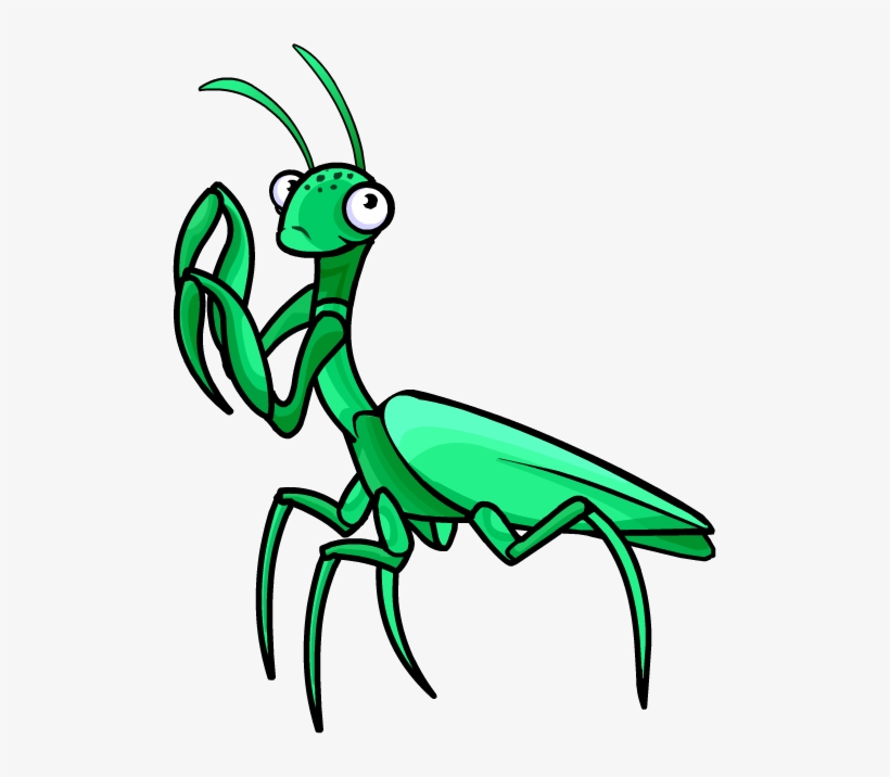 Norman Swarm Praying Mantis - Praying Mantis Clipart Transparent, transparent png #637222