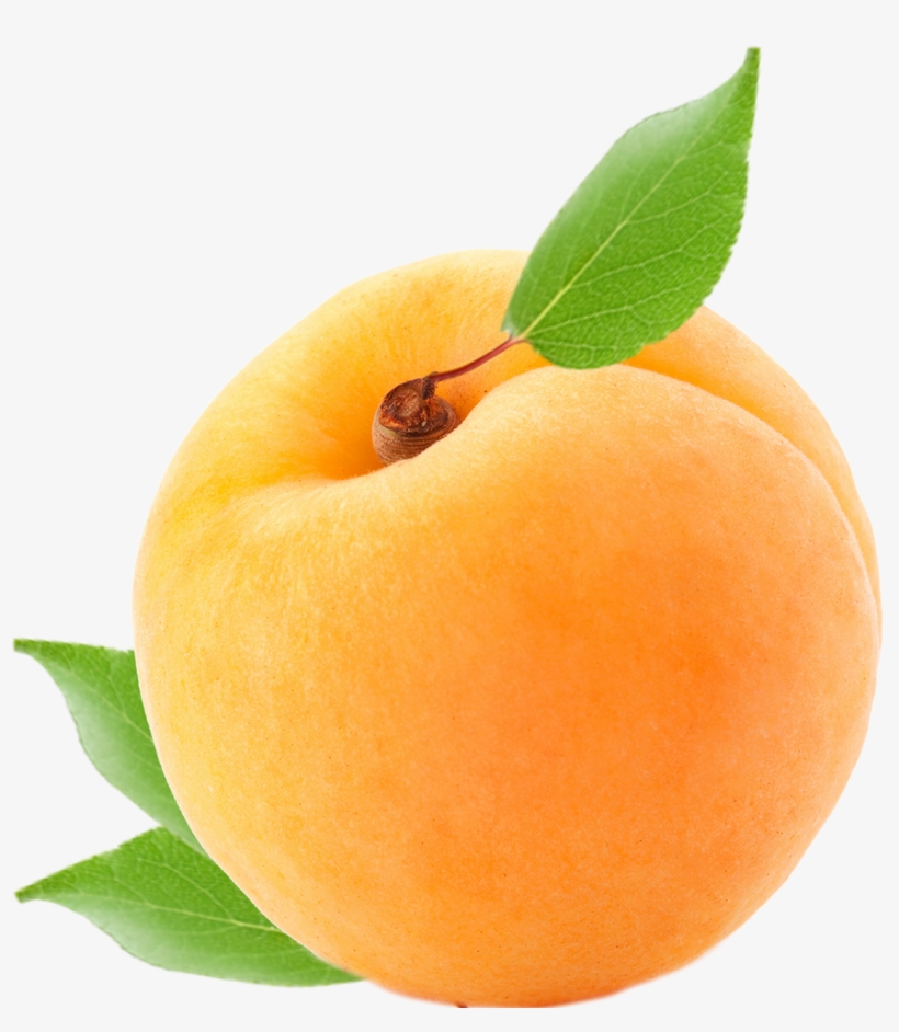 Apricot, transparent png #637458