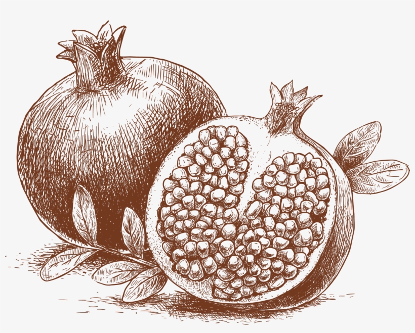 Pomegranate Transprent Png Free Download Leaf Cartoon, transparent png #637680
