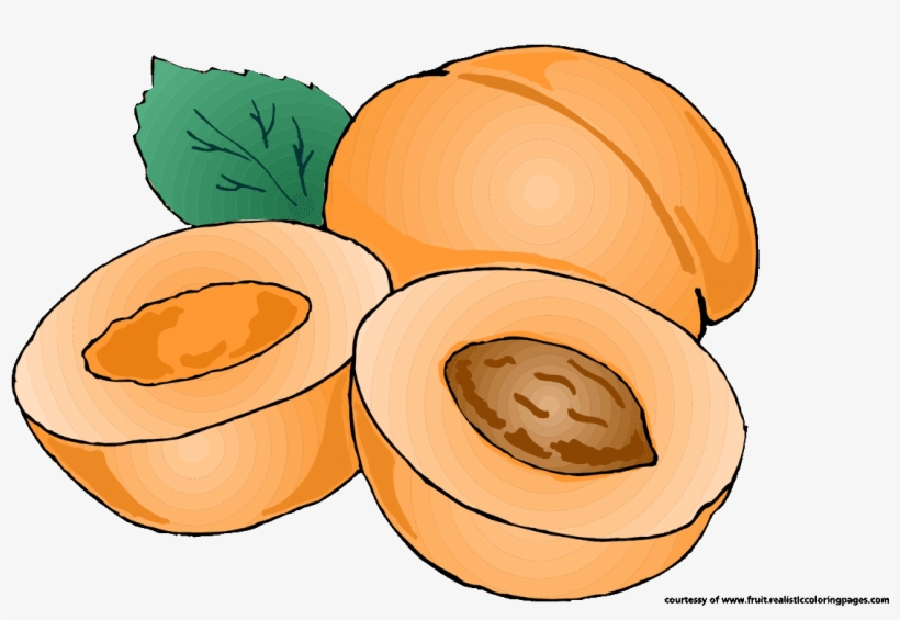 Pumpkin Cake Clipart - Apricot Png Clipart, transparent png #637892