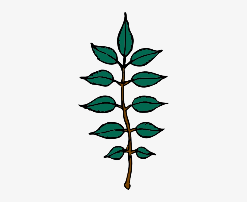 Ash Wed Clip Art - Leaves Clip Art, transparent png #638821