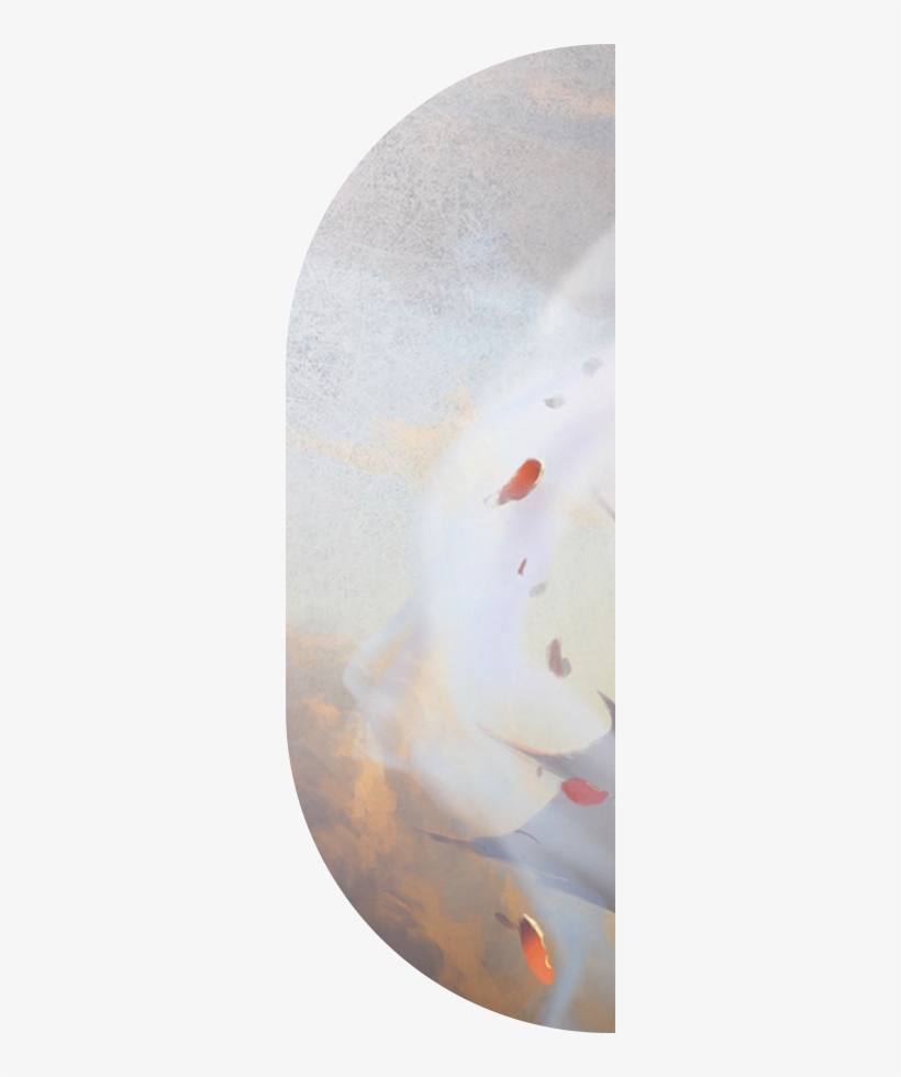 Available Now - Axolotl, transparent png #639551