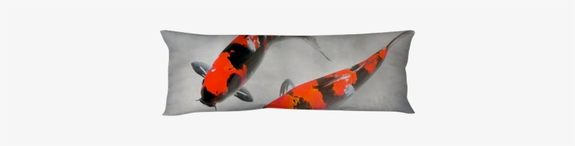 Calico Koi Fish Watercolor Illustration Body Pillow - Pez Koi Rojo Real, transparent png #639574