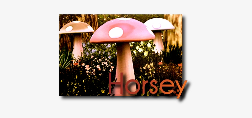 Horseya2 - Shiitake, transparent png #639637