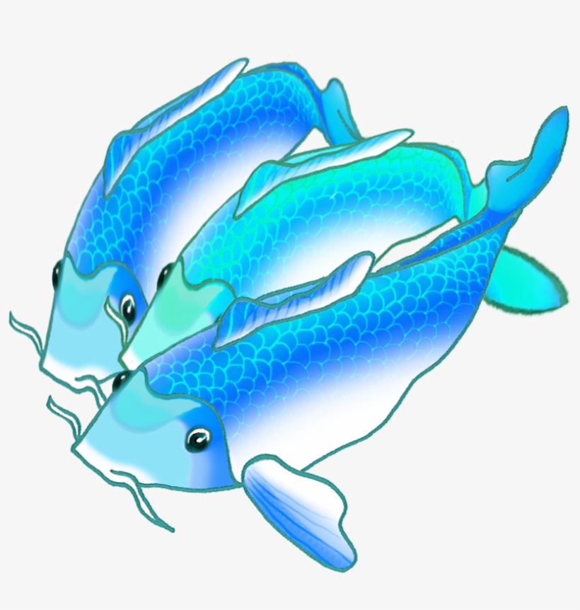 Colorful Koi Fish Draw - Clip Art, transparent png #639708