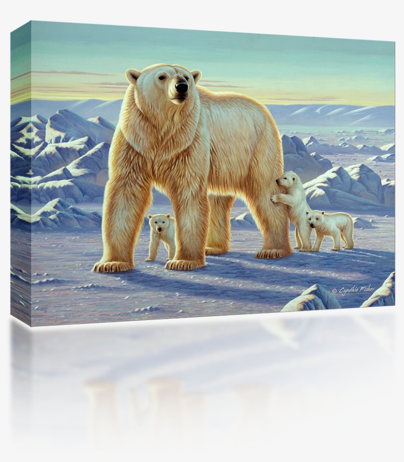 Polar Bear, transparent png #6300528
