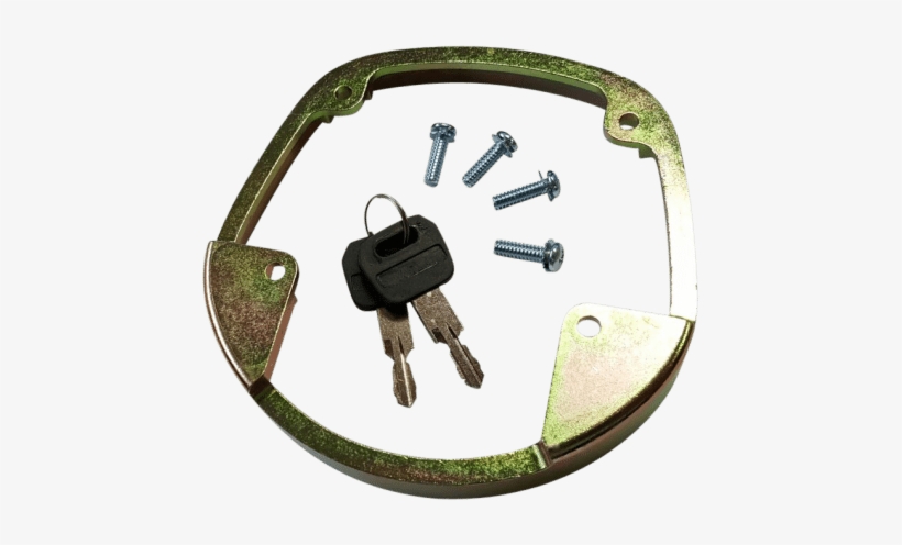 Whale Tail Underside 5 - Whale Tail, transparent png #6301246