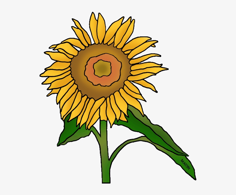 Sunflower Clipart Kansas - Philip Martin Clip Art Plants, transparent png #6301355