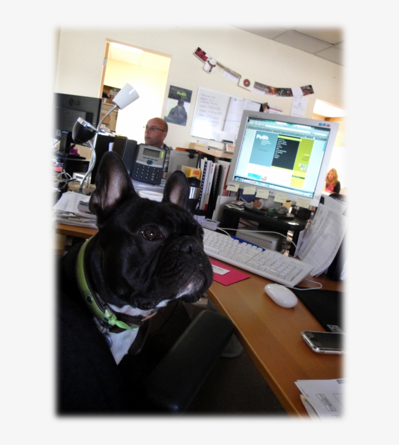 Is Sometimes Difficult To Separate Nightmares From - French Bulldog, transparent png #6301922