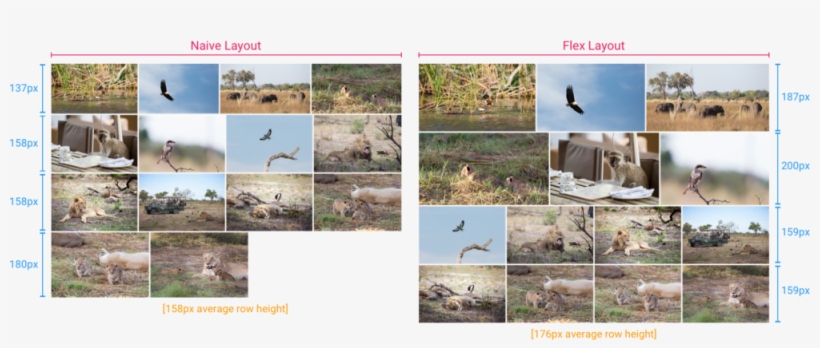 Building The Google Photos Web Ui - Algorithm, transparent png #6302149