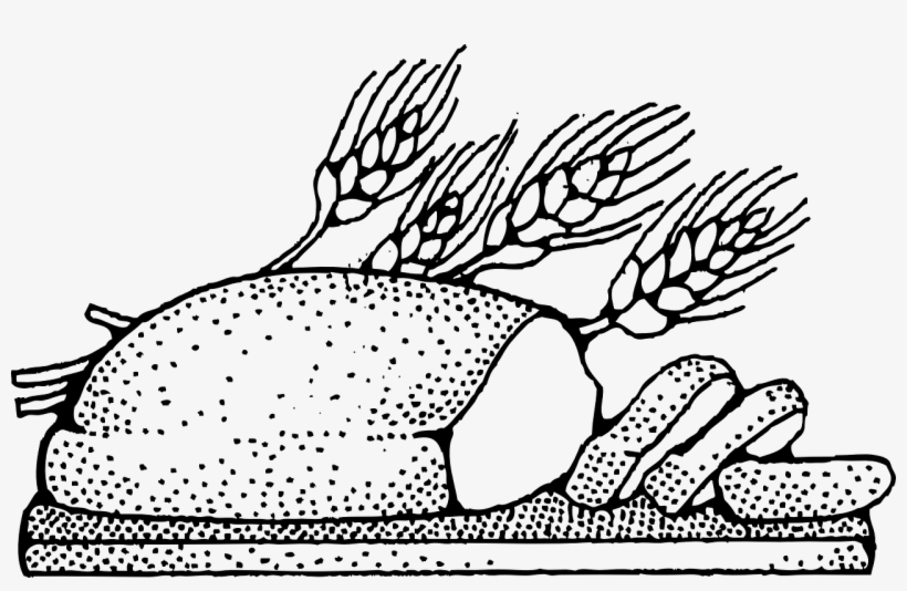 Bread Wheat Grain - Carbohydrates Black And White, transparent png #6302787