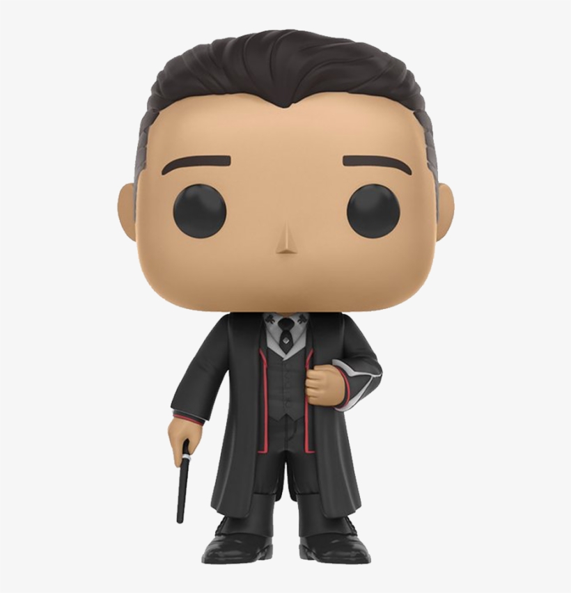 Vinyl Fantastic Beasts And Where To Find Them - Fantastic Beasts Funko Pop, transparent png #6302912