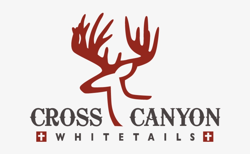 2018 Year Round Sponsors - Colossal Hoax: The Giant From Cardiff, transparent png #6302916