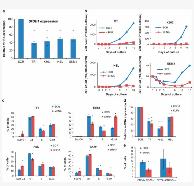 Download - Transfection, transparent png #6303044