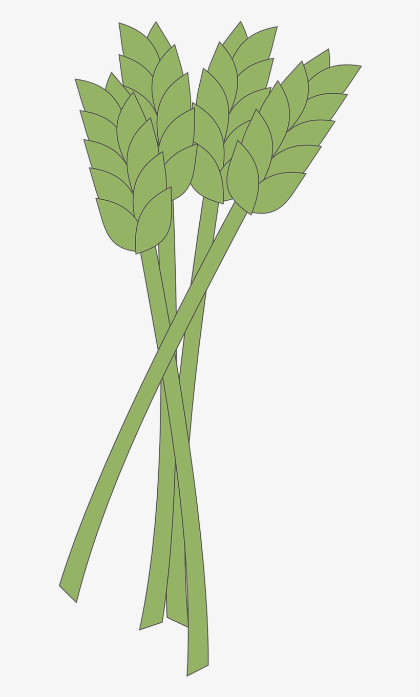 Vector Graphics, - Clip Art, transparent png #6303164