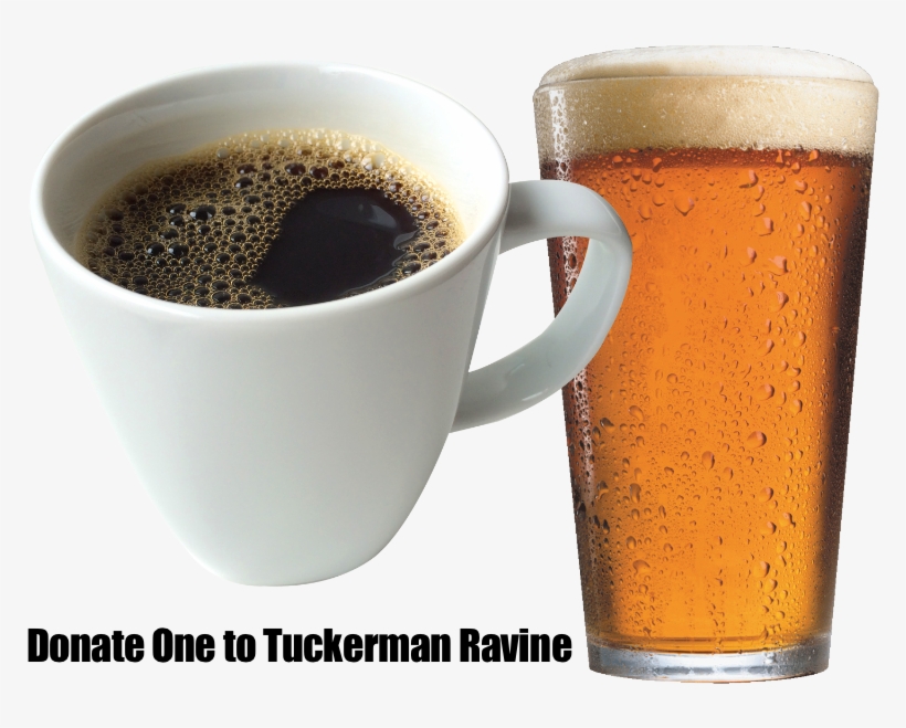 Donate One 800px - Transparent Cup Of Coffee, transparent png #6304111