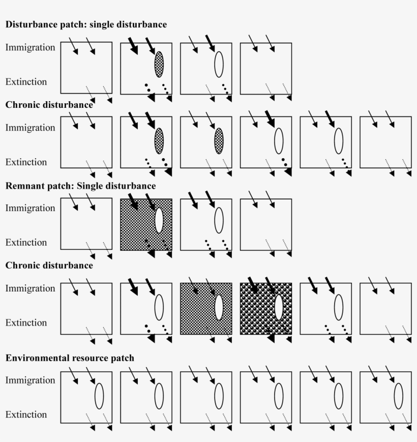 Patch - Disturbance Patch, transparent png #6305806