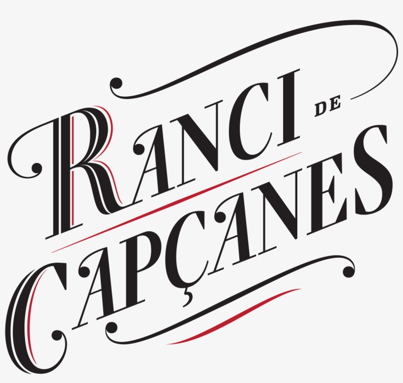 Letresranci - Age Of Enlightenment, transparent png #6305970