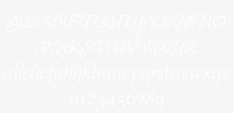 The Result Is A Charming Script With Elegantly Curved - Wordpress Logo White Png, transparent png #6306148