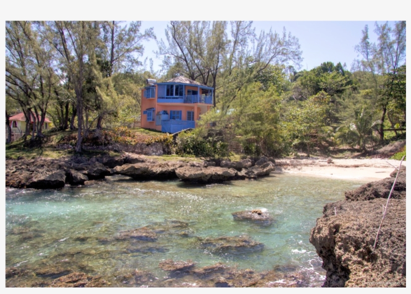 Strawberry Fields Together!, transparent png #6306325