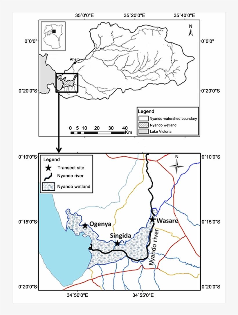 Location Of Nyando Wetland In Relation To Lake Victoria - Map, transparent png #6306378