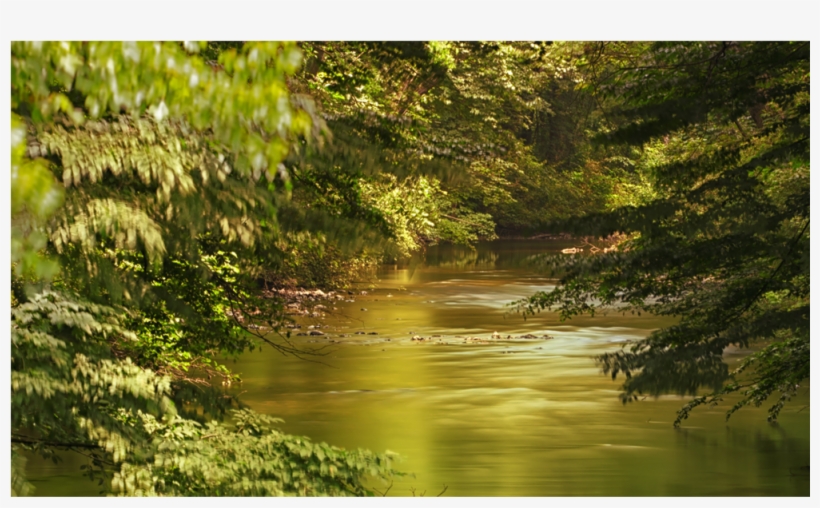 Score 50% - Nature, transparent png #6306763