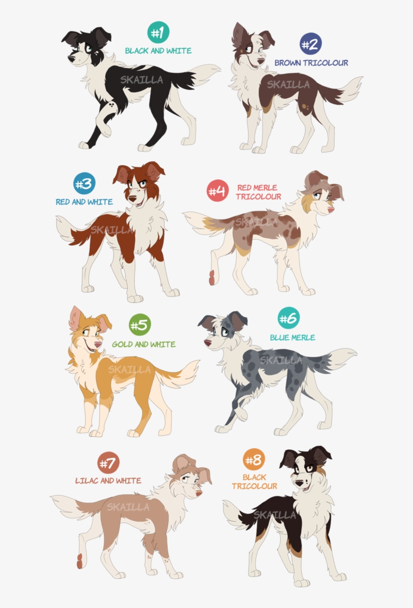 Svg Royalty Free Library Collie Drawing Colorful - Painting, transparent png #6308660