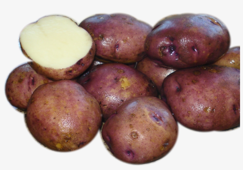 Caribe, transparent png #6312103