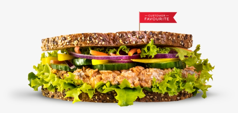 Salmon Salad - Druxy's, transparent png #6312372