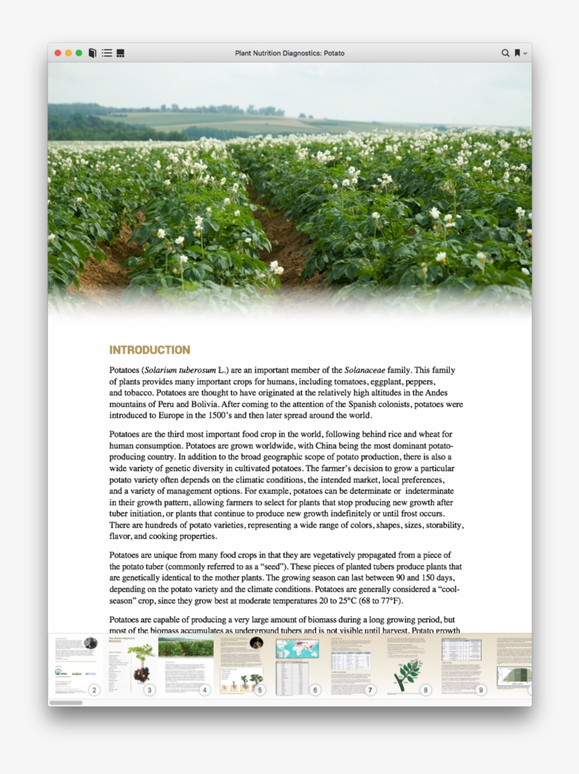 Digital Download - Grass, transparent png #6312419