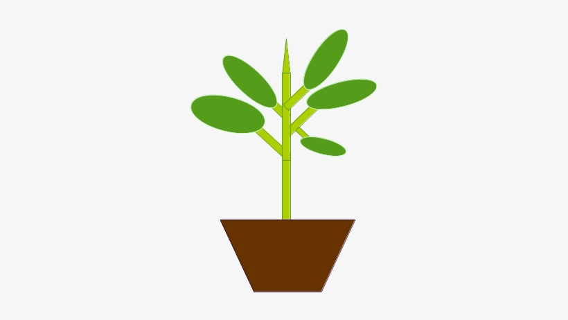 I Have Lately Been Dabbling In Some Indoor Gardening, transparent png #6312778