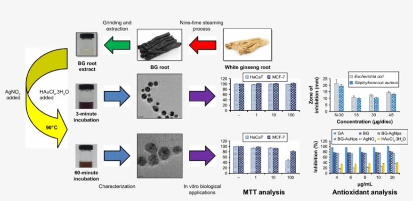 Scheme 1 Preparation And Characterization Of Black - Gallic Acid Silver Nanoparticles Shape, transparent png #6313696