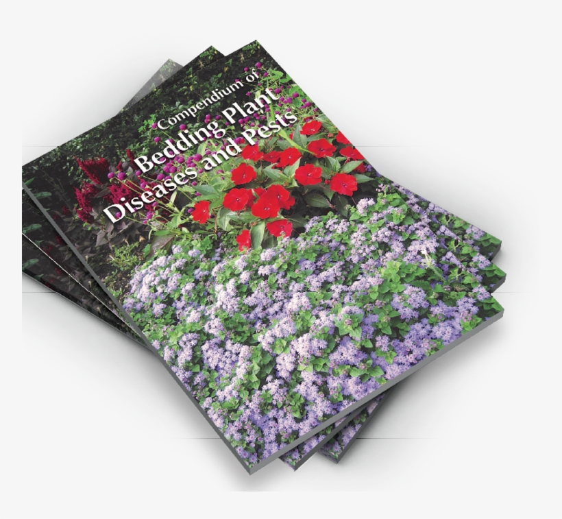 “compendium Of Bedding Plant Diseases And Pests” Offers - Baby Blue Eyes, transparent png #6318132
